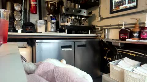 Ivy Rose online show from November 19, 3:56 pm