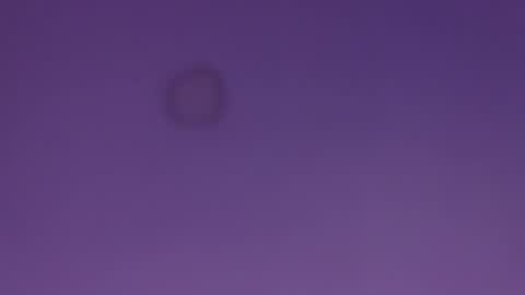 Jane online show from November 27, 2:47 am