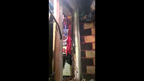 jax112284 online show from March 6, 5:13 am