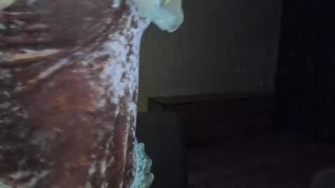 jess1ca_rabb1t online show from November 29, 1:04 pm