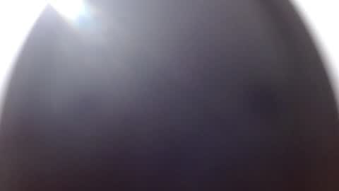 Kamelia  6 am-10 am  4 pm-6 pm online show from February 4, 10:21 am