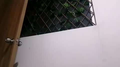 Karla Gonzaless online show from November 8, 8:52 am