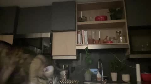 Karoline online show from October 6, 11:09 pm