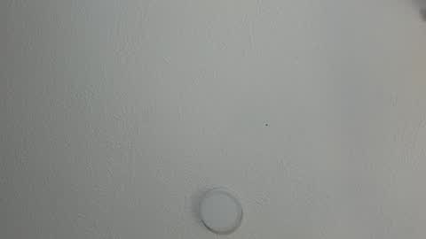 love meeee online show from January 17, 3:32 pm