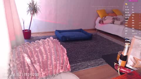 pvt open online show from December 25, 11:11 am