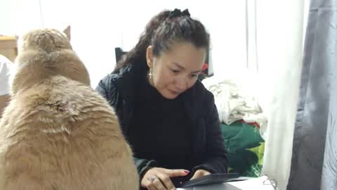  Khawit  online show from January 15, 4:18 am