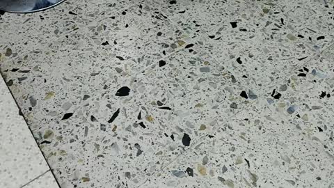 Kendra London online show from April 10, 12:00 pm