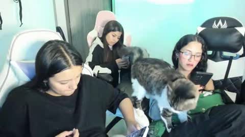 kimmi online show from November 12, 11:36 pm