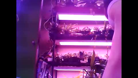 krookedorchid online show from January 15, 11:49 am