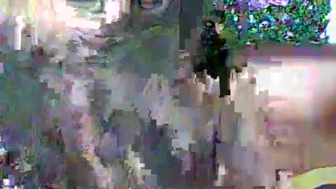 LadyXSnakes online show from October 17, 11:46 am