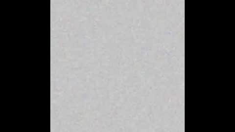  paola and a guest lol    online show from September 19, 8:35 am