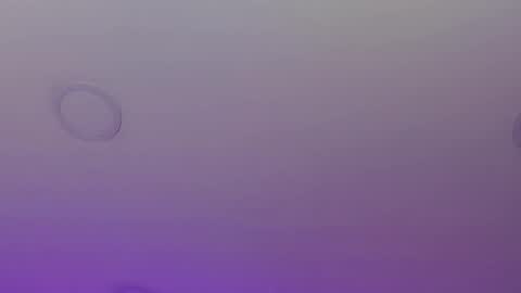 Lau online show from September 28, 1:16 pm