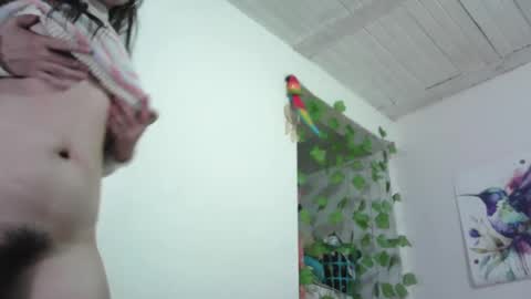 laylashani online show from December 17, 4:23 am