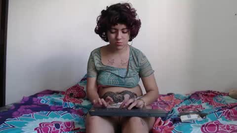 lotto_bloom online show from December 20, 1:48 pm