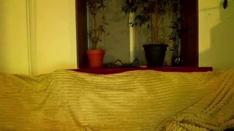 Cute face online show from February 1, 12:58 pm