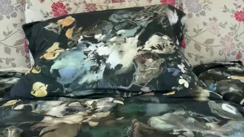 Mysterious Girl online show from November 23, 9:00 am