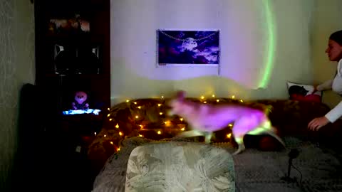 luna_evan online show from October 31, 9:57 am