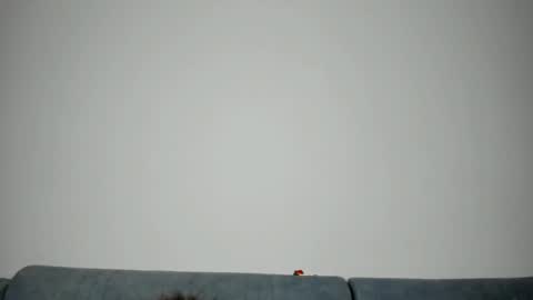      online show from February 15, 9:47 pm