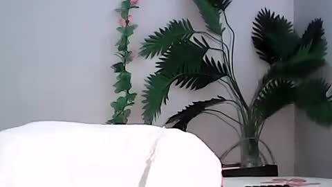 Bee Bee online show from September 13, 4:09 am