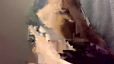 lydiasarch online show from September 12, 5:19 am