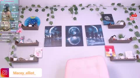 Macey Elliot Modelo Independiente online show from January 19, 12:38 am