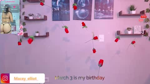 Macey Elliot Modelo Independiente online show from March 2, 2:36 pm