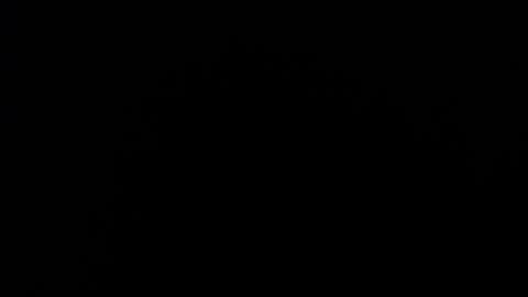 Alice Asylum online show from October 14, 7:49 pm