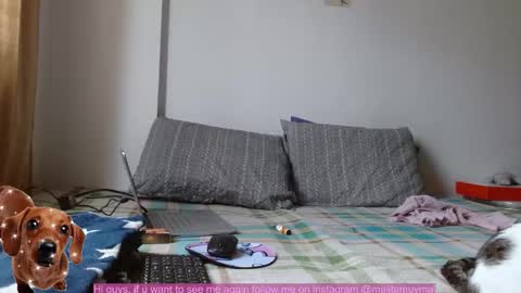 Malita online show from September 14, 3:21 pm