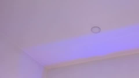 Mara online show from February 1, 3:41 am