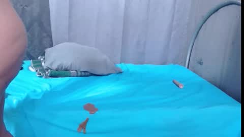 Marilin carolina online show from October 11, 1:03 pm