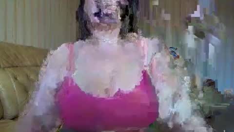 Cat online show from January 21, 8:08 am