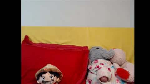 Meg4n Miauuuu online show from October 13, 4:42 pm