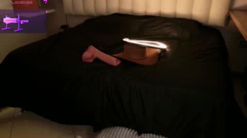     online show from November 8, 2:44 pm