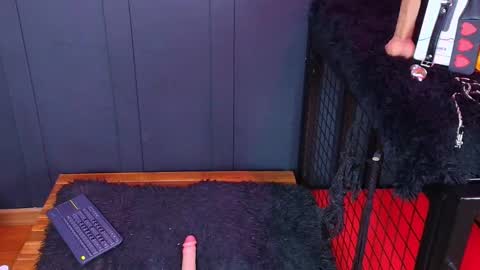 Megahn online show from September 18, 3:49 am