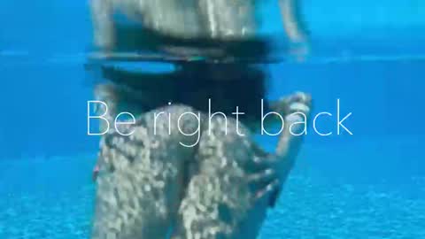 Adel online show from September 15, 2:47 pm