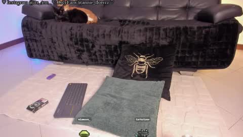 Ann online show from October 6, 3:23 am