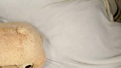 MelMooon online show from March 3, 9:54 pm