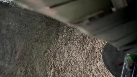 melodysnow online show from January 9, 12:53 pm