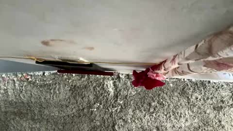 melodysnow online show from January 10, 6:34 pm