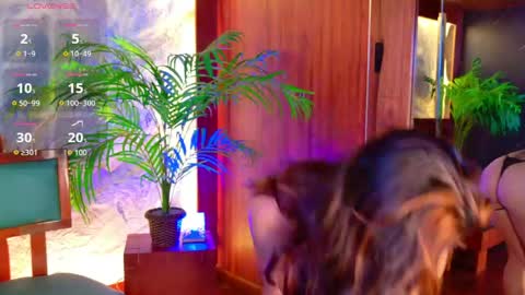  CALL ME MIA  online show from April 29, 5:51 pm