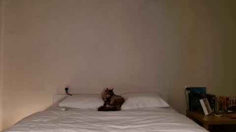 milky__way_ online show from November 7, 1:06 pm