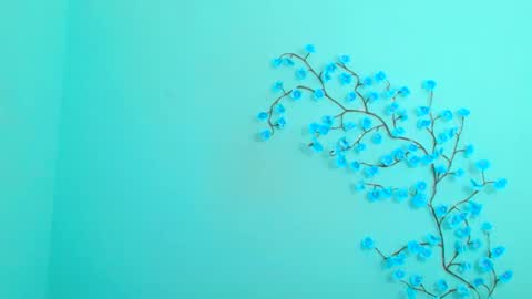 Christina online show from February 16, 12:16 pm