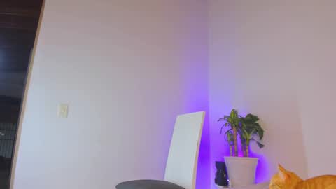 misspaulag online show from February 14, 12:41 am