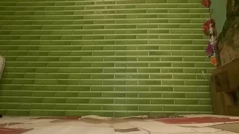 MohawkRed online show from January 24, 6:25 pm