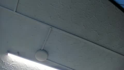 Hey Guys  Im Mollie online show from December 20, 12:20 pm