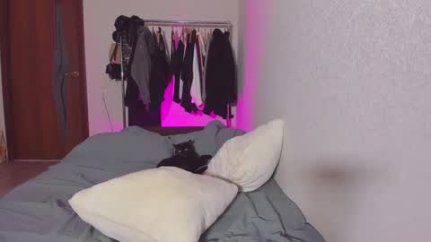 Taisha online show from February 26, 4:05 pm