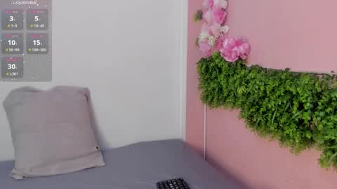 Mulan online show from March 24, 1:16 pm