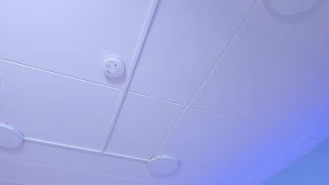 Naenia online show from November 21, 4:03 am