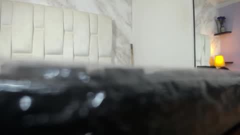 Kitten online show from February 14, 10:49 am