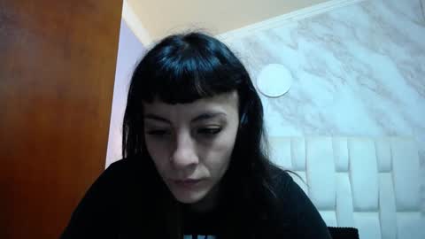 Kitten online show from February 4, 10:00 am